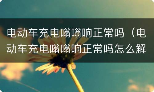 电动车充电嗡嗡响正常吗（电动车充电嗡嗡响正常吗怎么解决）