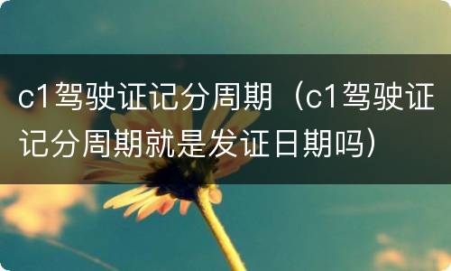 c1驾驶证记分周期（c1驾驶证记分周期就是发证日期吗）