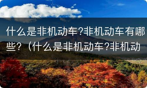 什么是非机动车?非机动车有哪些?（什么是非机动车?非机动车有哪些类型）