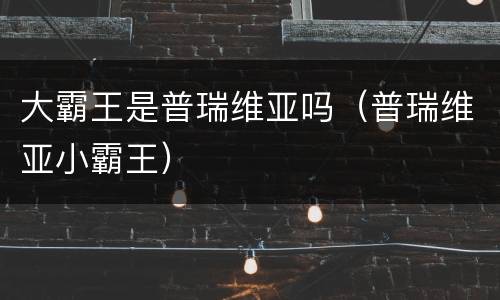 大霸王是普瑞维亚吗（普瑞维亚小霸王）