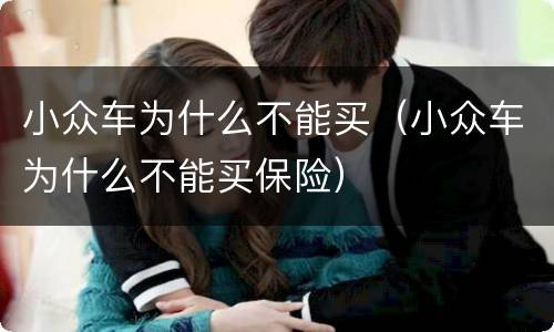 小众车为什么不能买（小众车为什么不能买保险）