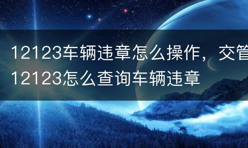 12123车辆违章怎么操作，交管12123怎么查询车辆违章