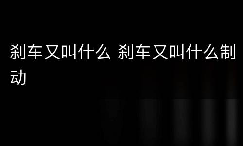 刹车又叫什么 刹车又叫什么制动