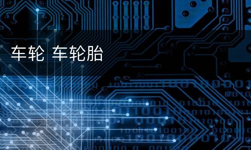 车轮 车轮胎