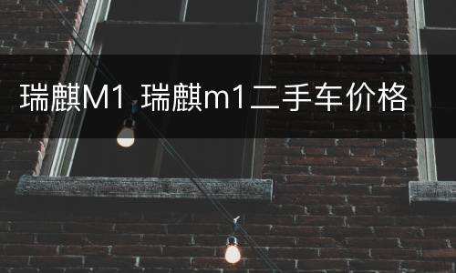 瑞麒M1 瑞麒m1二手车价格