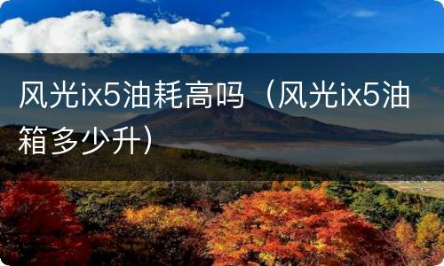 风光ix5油耗高吗（风光ix5油箱多少升）