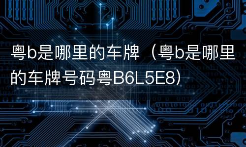 粤b是哪里的车牌（粤b是哪里的车牌号码粤B6L5E8）