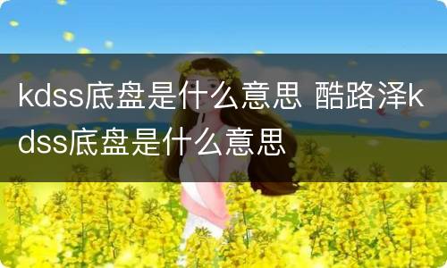 kdss底盘是什么意思 酷路泽kdss底盘是什么意思