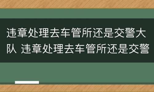 违章处理去车管所还是交警大队 违章处理去车管所还是交警大队预约