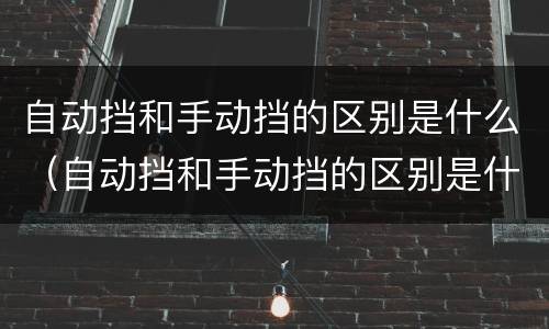 自动挡和手动挡的区别是什么（自动挡和手动挡的区别是什么意思）
