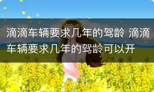 滴滴车辆要求几年的驾龄 滴滴车辆要求几年的驾龄可以开