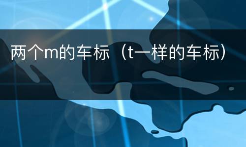 两个m的车标（t一样的车标）