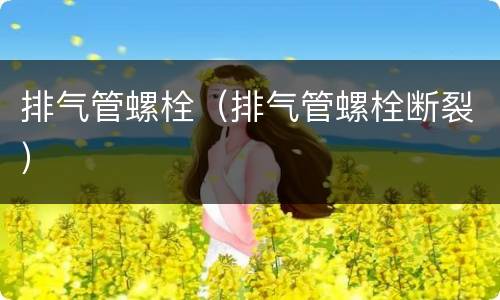 排气管螺栓（排气管螺栓断裂）