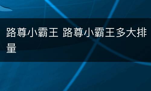 路尊小霸王 路尊小霸王多大排量