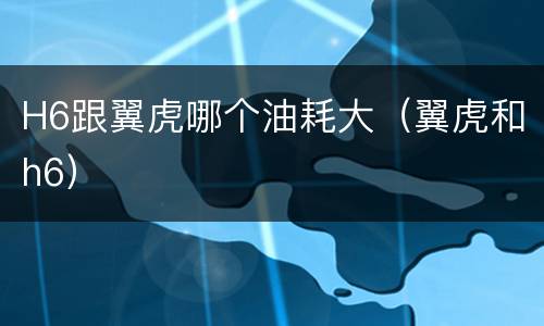 H6跟翼虎哪个油耗大（翼虎和h6）