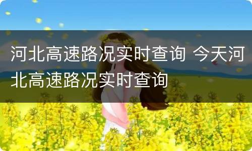 河北高速路况实时查询 今天河北高速路况实时查询