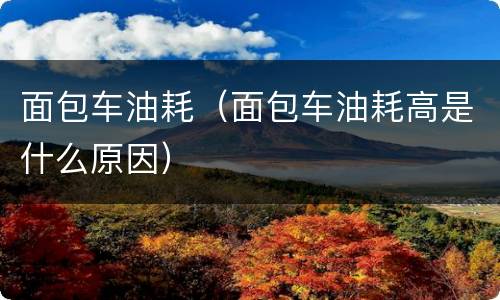 面包车油耗（面包车油耗高是什么原因）