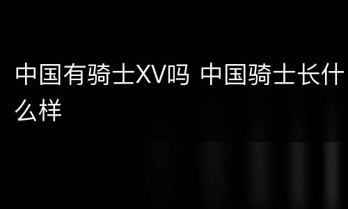 中国有骑士XV吗 中国骑士长什么样