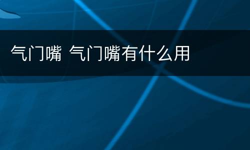 气门嘴 气门嘴有什么用