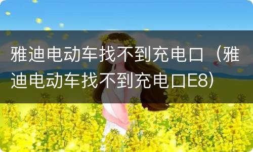 雅迪电动车找不到充电口（雅迪电动车找不到充电口E8）