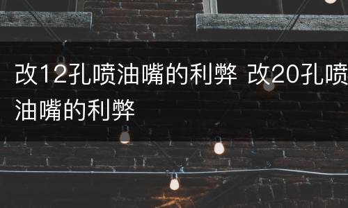 改12孔喷油嘴的利弊 改20孔喷油嘴的利弊