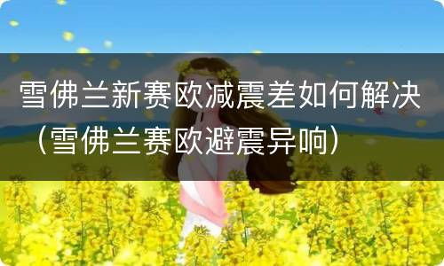 雪佛兰新赛欧减震差如何解决（雪佛兰赛欧避震异响）