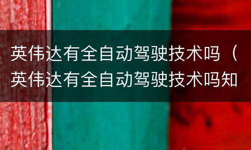 英伟达有全自动驾驶技术吗（英伟达有全自动驾驶技术吗知乎）