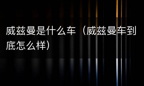 威兹曼是什么车（威兹曼车到底怎么样）