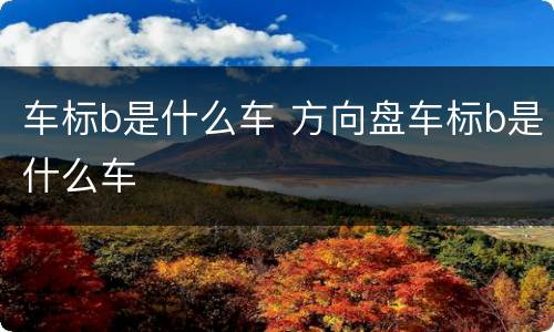 车标b是什么车 方向盘车标b是什么车