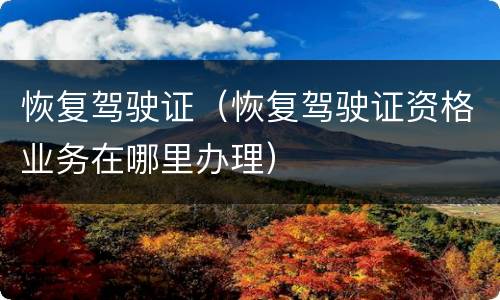 恢复驾驶证（恢复驾驶证资格业务在哪里办理）