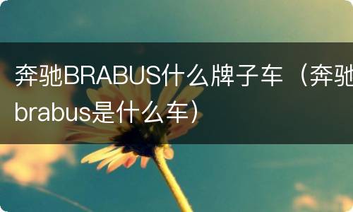 奔驰BRABUS什么牌子车（奔驰brabus是什么车）