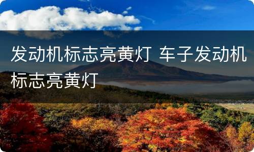 发动机标志亮黄灯 车子发动机标志亮黄灯