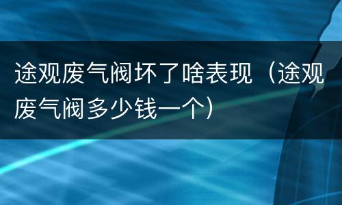 途观废气阀坏了啥表现（途观废气阀多少钱一个）