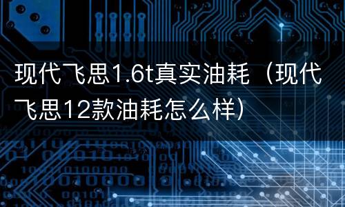 现代飞思1.6t真实油耗（现代飞思12款油耗怎么样）