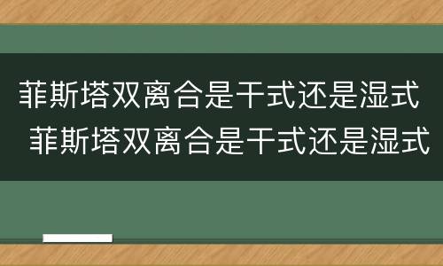 菲斯塔双离合是干式还是湿式 菲斯塔双离合是干式还是湿式