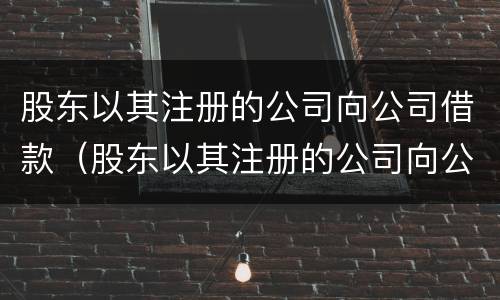 股东以其注册的公司向公司借款（股东以其注册的公司向公司借款怎么做账）