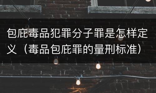 包庇毒品犯罪分子罪是怎样定义（毒品包庇罪的量刑标准）
