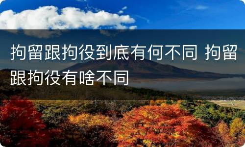 拘留跟拘役到底有何不同 拘留跟拘役有啥不同