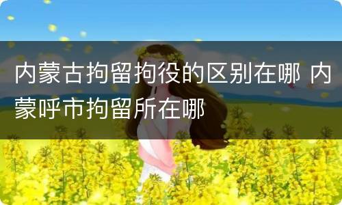 内蒙古拘留拘役的区别在哪 内蒙呼市拘留所在哪
