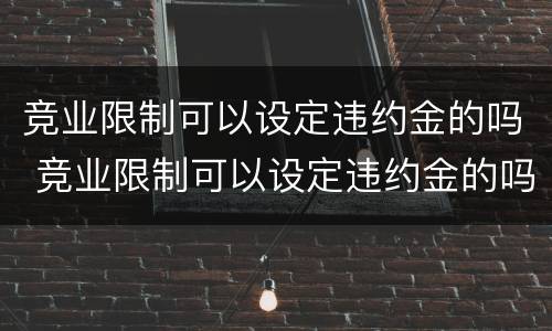 竞业限制可以设定违约金的吗 竞业限制可以设定违约金的吗为什么