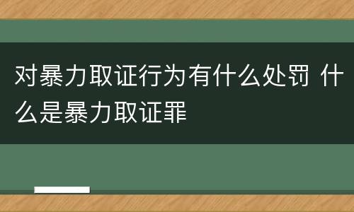 对暴力取证行为有什么处罚 什么是暴力取证罪