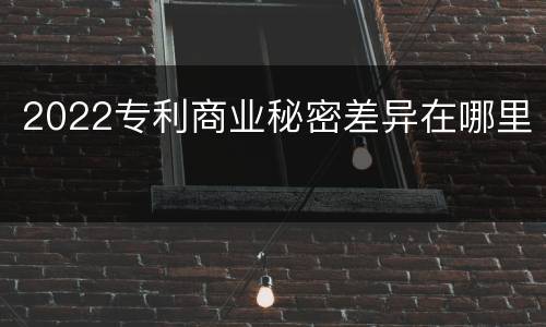 2022专利商业秘密差异在哪里