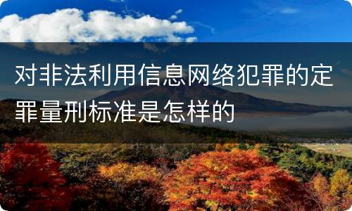 对非法利用信息网络犯罪的定罪量刑标准是怎样的