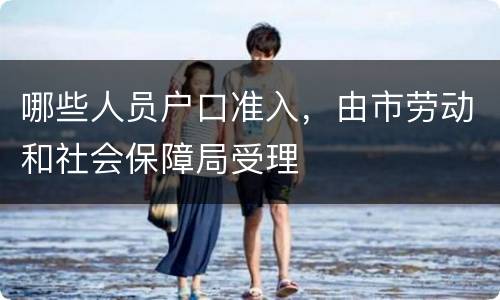 哪些人员户口准入，由市劳动和社会保障局受理