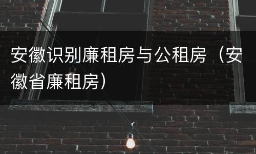 安徽识别廉租房与公租房（安徽省廉租房）