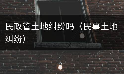民政管土地纠纷吗（民事土地纠纷）