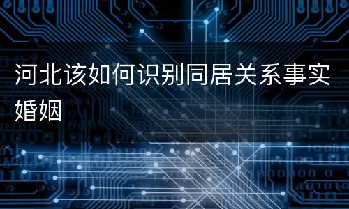 河北该如何识别同居关系事实婚姻