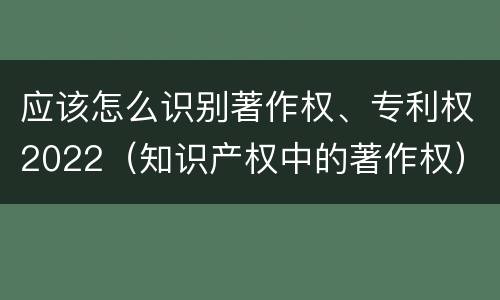 应该怎么识别著作权、专利权2022（知识产权中的著作权）
