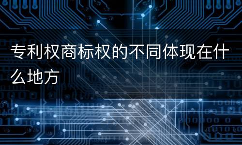 专利权商标权的不同体现在什么地方