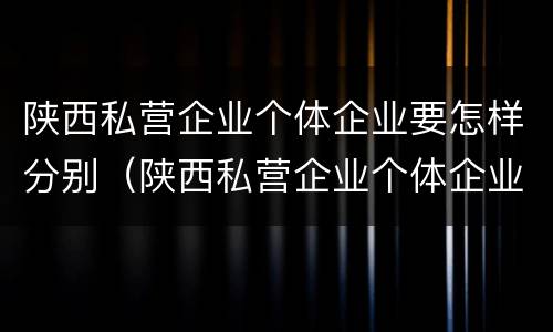陕西私营企业个体企业要怎样分别（陕西私营企业个体企业要怎样分别认定）